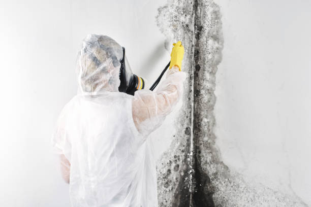 Best Commercial water damage restoration  in Bellmore, NY